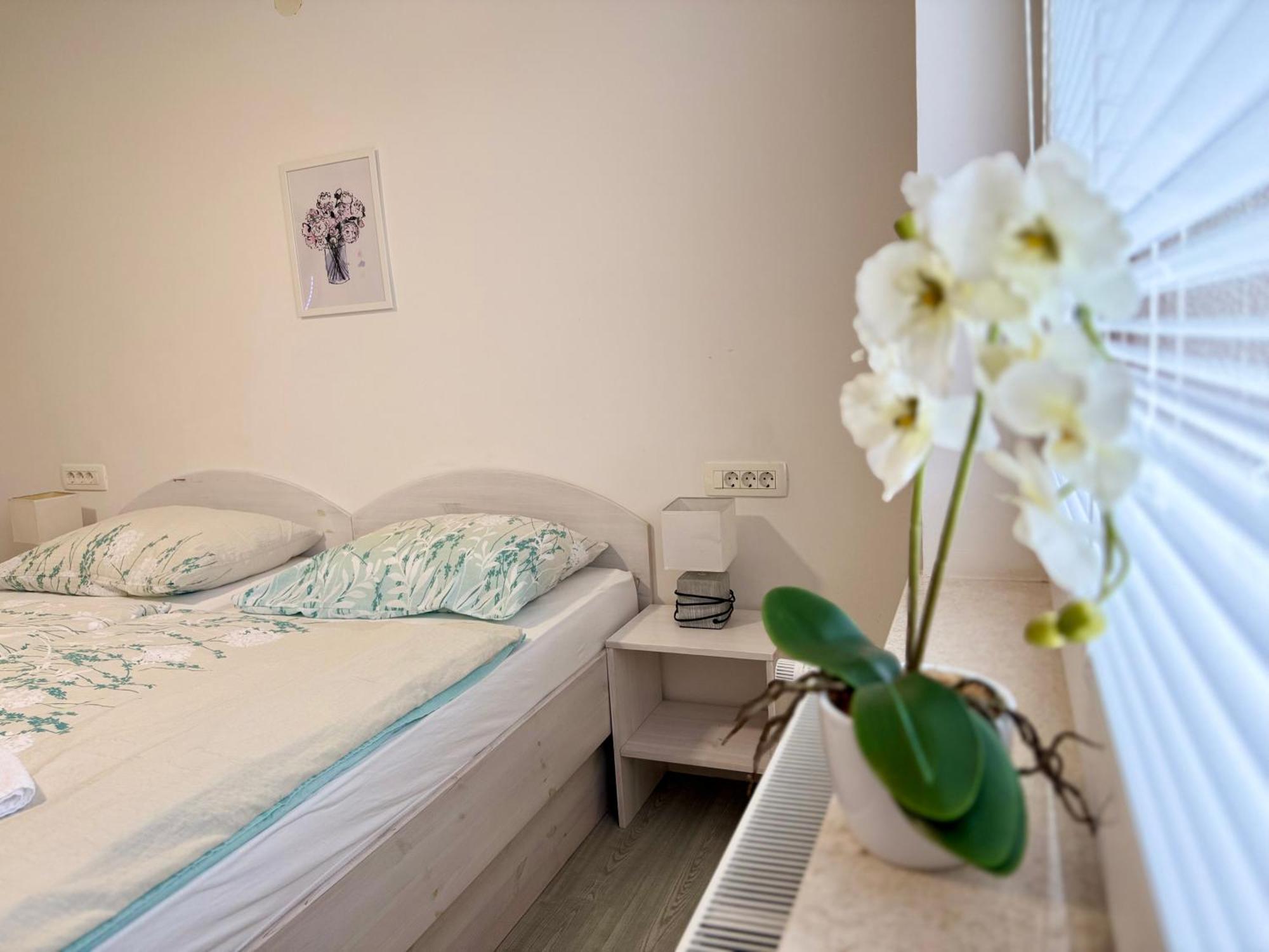 Guest House Kobal Spodnje Gorje Exterior photo